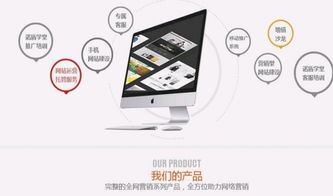 泰安诺盾 以专业网站建设与设计，赋能企业数字化未来